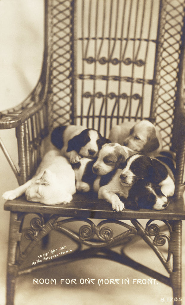 Detail of Room For One More In Front Photographic Postcard by Anonymous