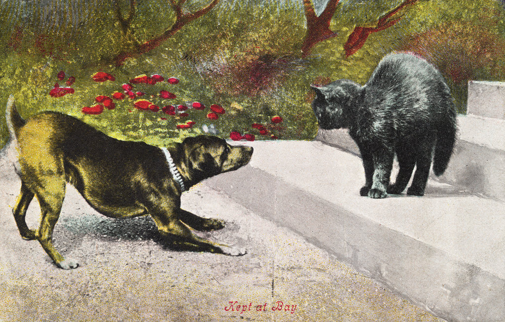 Detail of Kept at Bay Color Print Postcard by Anonymous