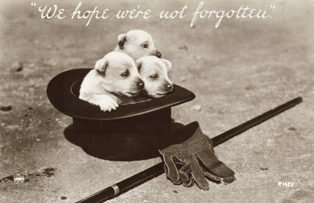 Detail of We Hope We're Not Forgotten Photographic Postcard by Anonymous