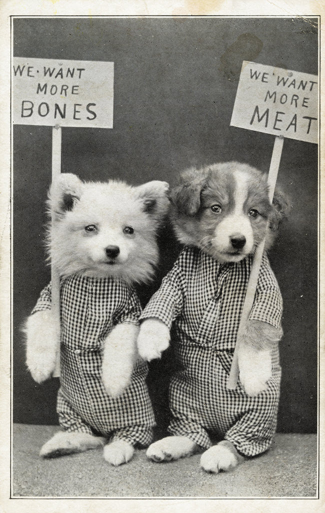 Detail of We Want More Bones, We Want More Meat Photographic Postcard by Corbis