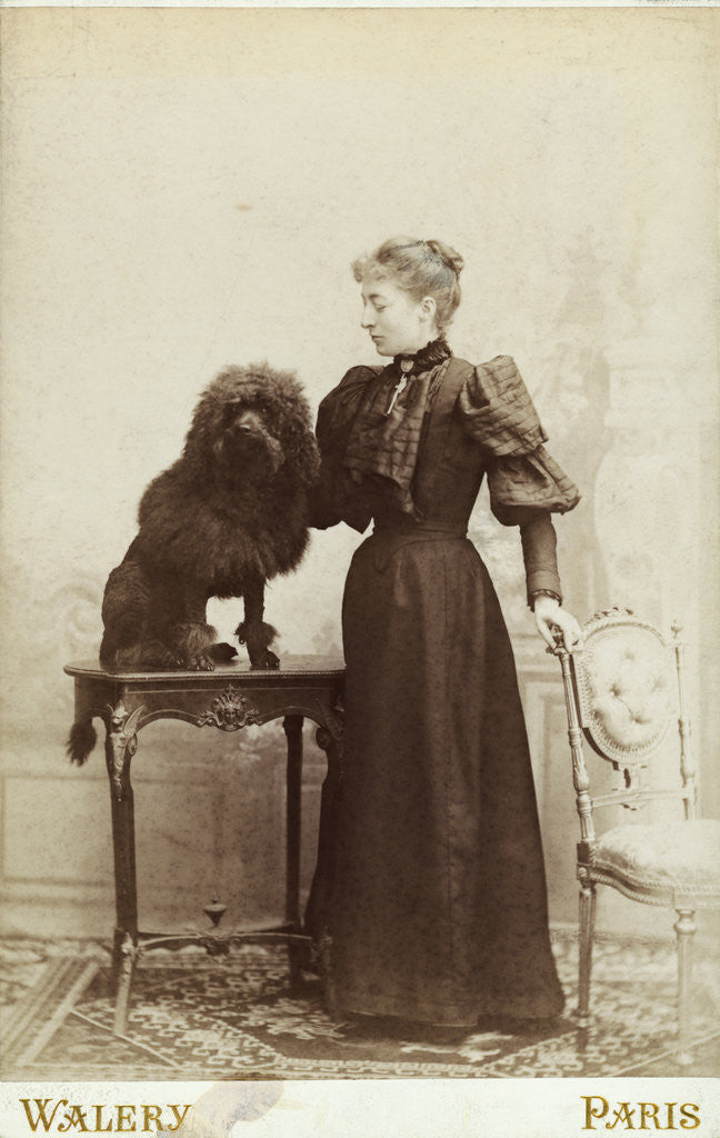 Detail of Albumen Print Card Showing Woman with a Black Miniature Poodle by Anonymous