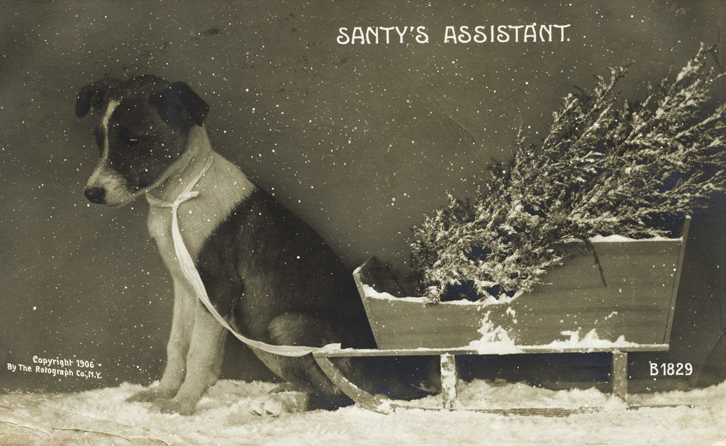 Detail of Santy's Assistant Postcard by Corbis