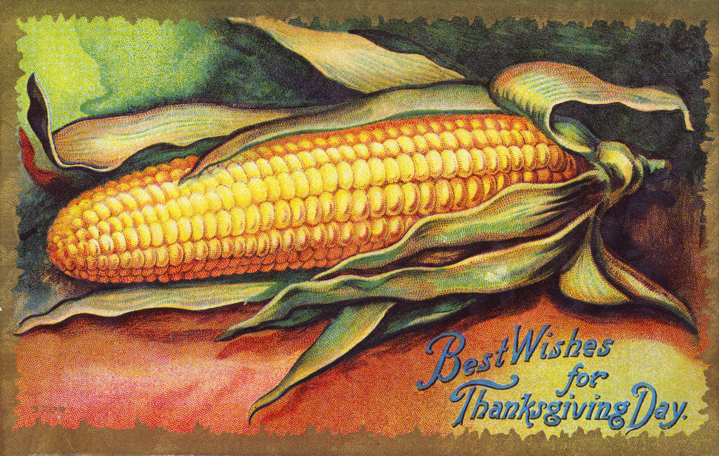 Detail of Best Wishes for Thanksgiving Day Postcard by Anonymous