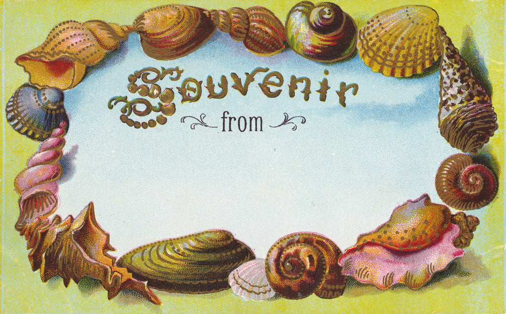 Detail of Souvenir From Postcard with Seashells by Anonymous