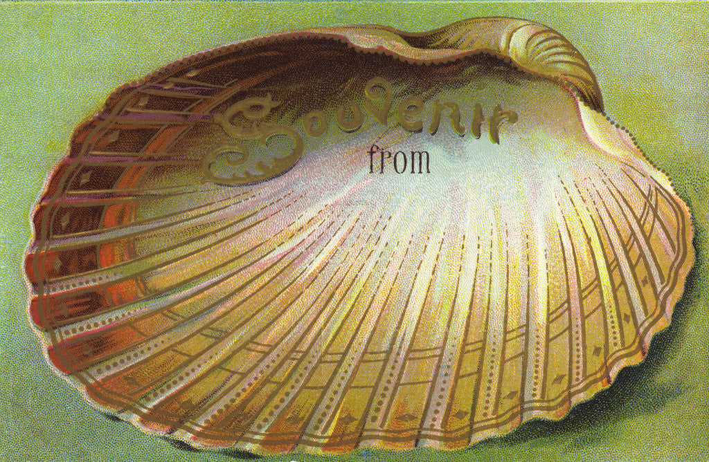 Detail of Souvenir From Postcard with Clam Shell by Anonymous