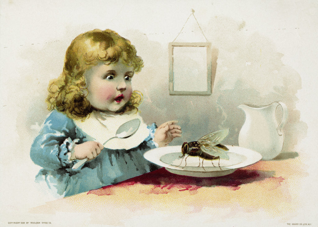 Detail of Woolson Spice Company Trade Card with a Fly in a Little Girl's Soup by Anonymous