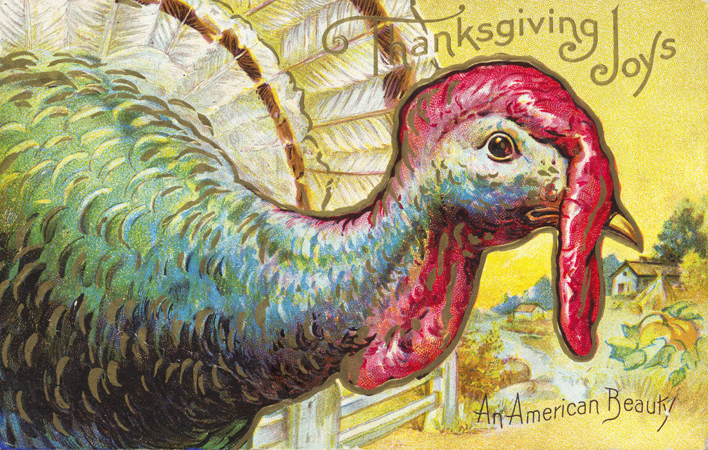 Detail of Thanksgiving Joys: An American Beauty Postcard by Anonymous