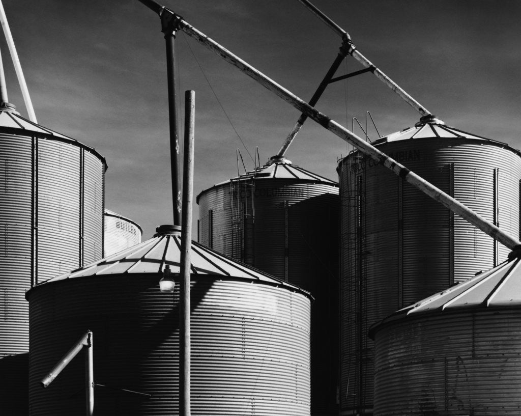 Detail of Coop Feeds by Gordon Osmundson