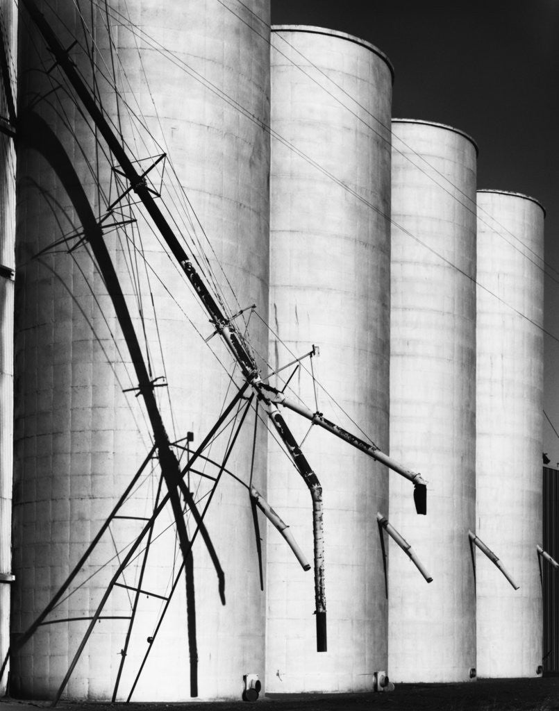 Detail of Zamora #2 by Gordon Osmundson