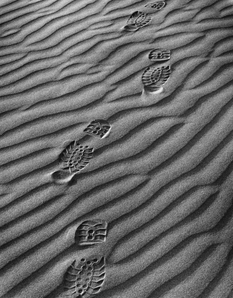 Detail of Boot Prints by Gordon Osmundson
