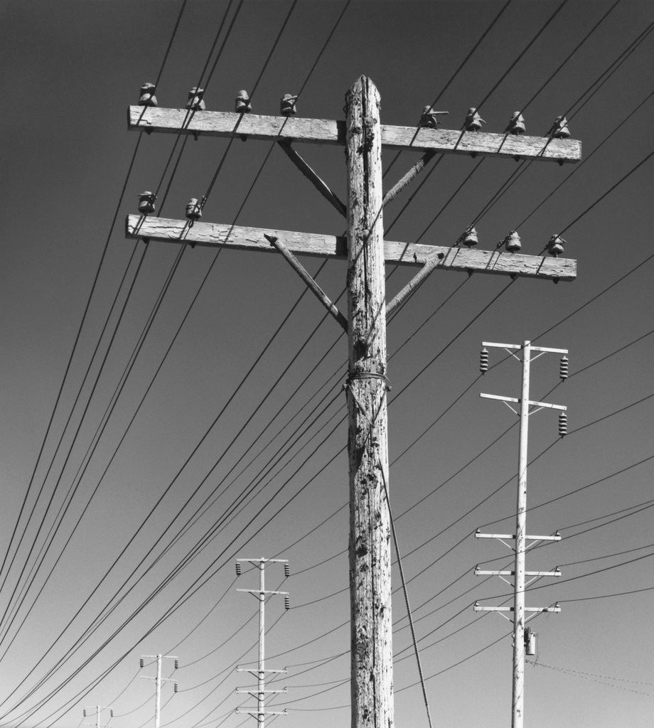 Detail of Poles and Wires by Gordon Osmundson