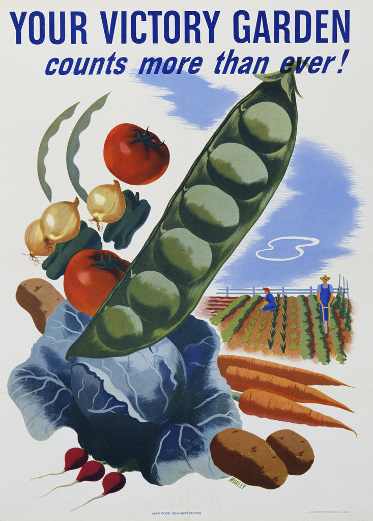 Detail of Your Victory Garden Poster by Corbis