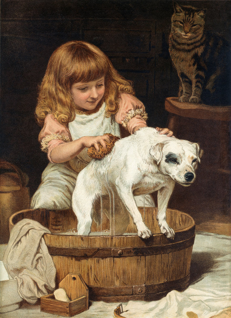 Detail of The Order of the Bath by Charles Burton Barber