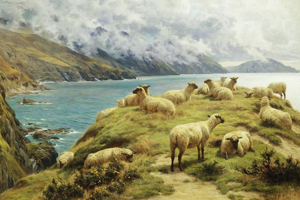 Detail of Sheep Reposing, Dalby Bay, Isle of Man by Basil Bradley
