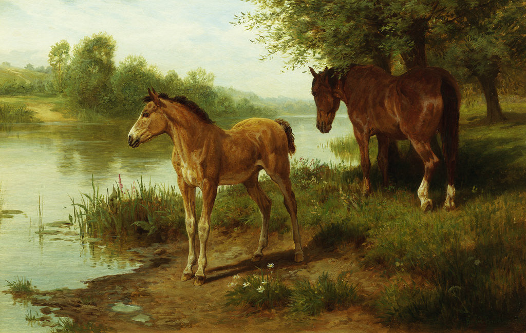 Detail of A Mare and Her Foal by Basil Bradley