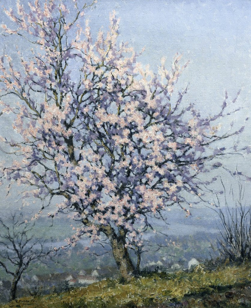Detail of Spring by Emanuel Phillips Fox