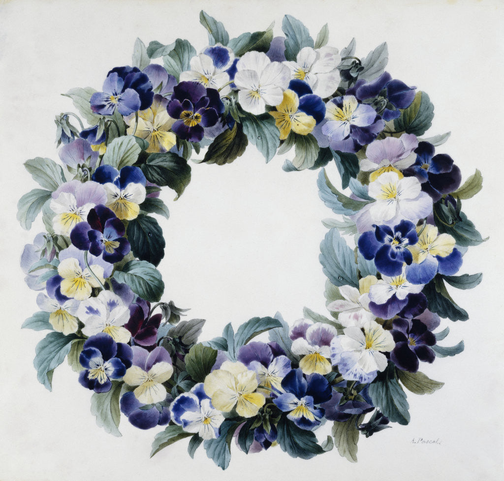 Detail of A Garland of Pansies by Antoine Pascal