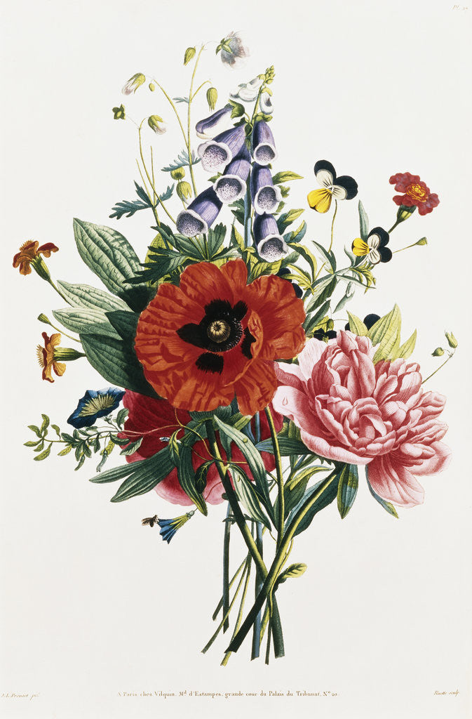 Detail of Bouquet of Foxglove, Poppy, and Peony by Jean Louis Prevost