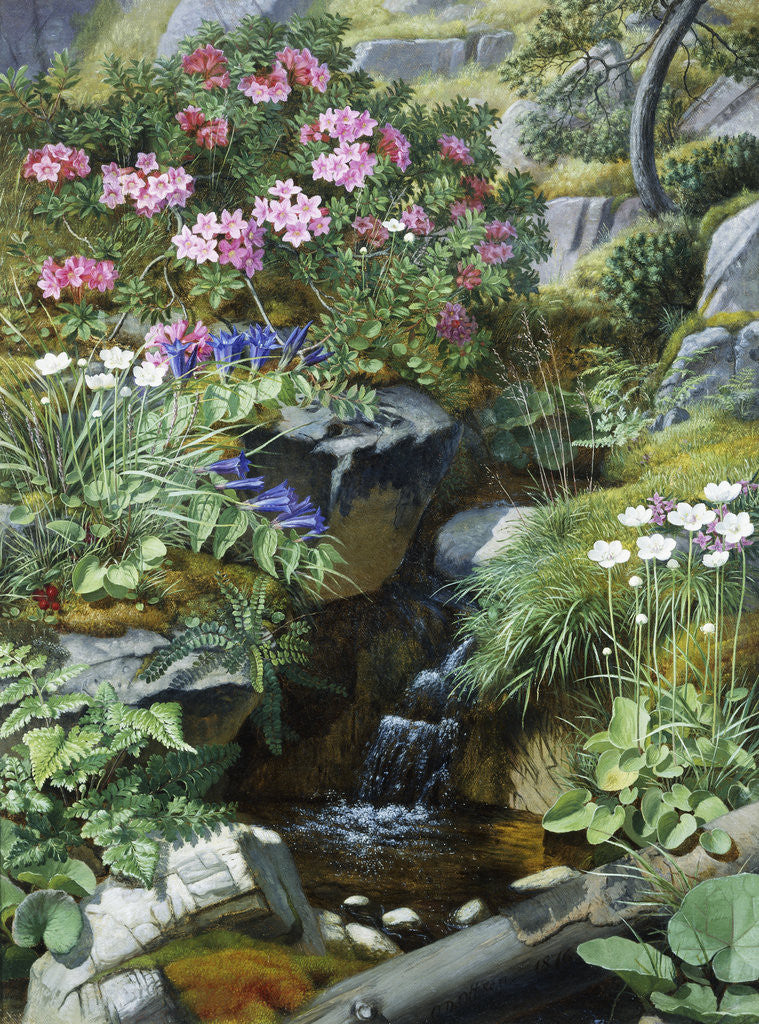 Detail of Alpine Flowers by a Stream by Otto Diderich Ottesen