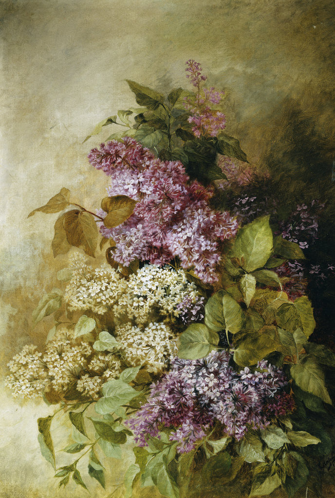 Detail of A Study of Lilac by Claude Massmann