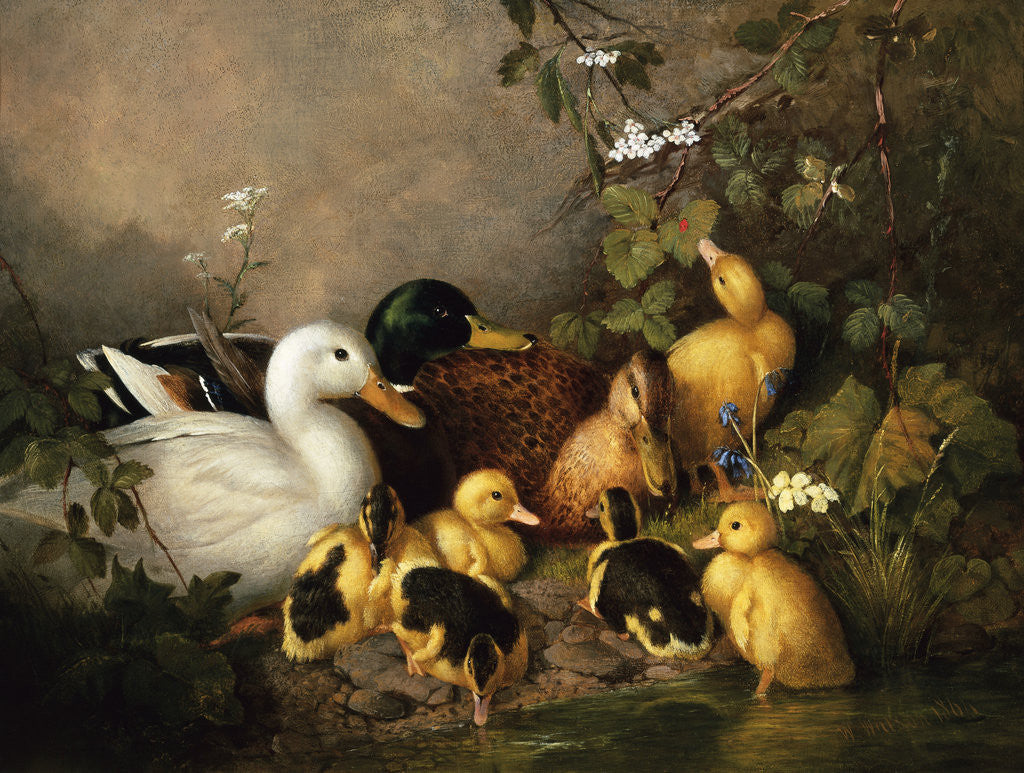 Detail of A Family of Ducks on the Riverbank by Walter Watson