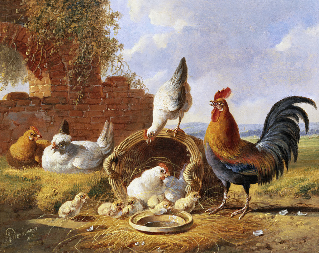 Detail of Spring Chickens by Albertus Verhoesen