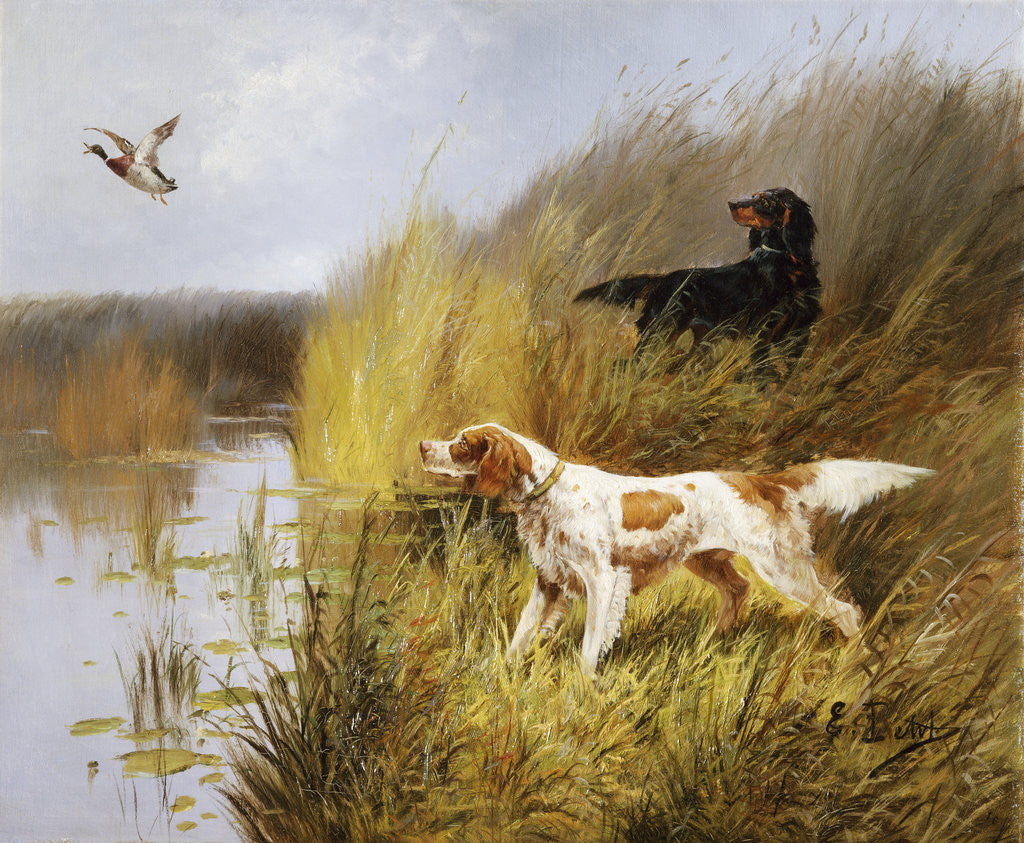 Detail of Duck Rising by Eugene Petit