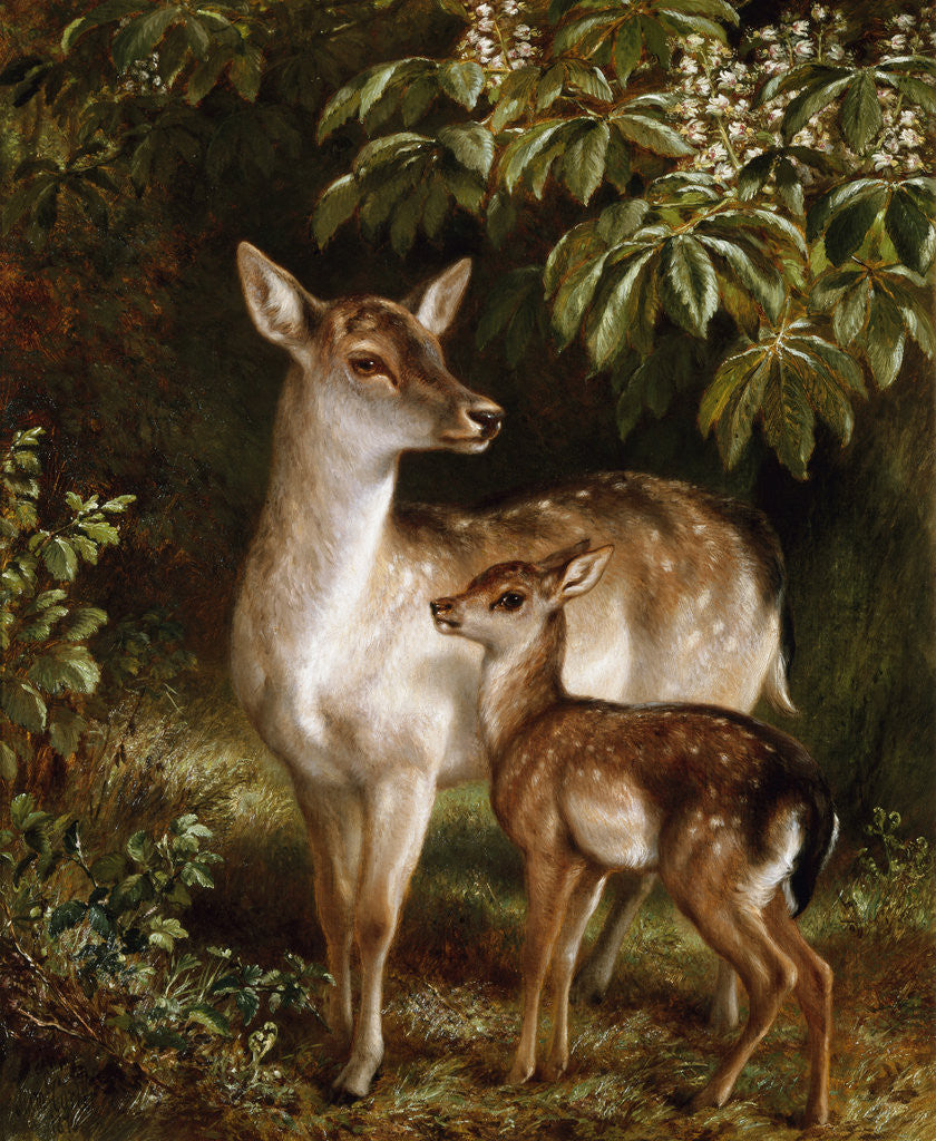 Detail of A Doe with Her Fawn by Samuel John Carter