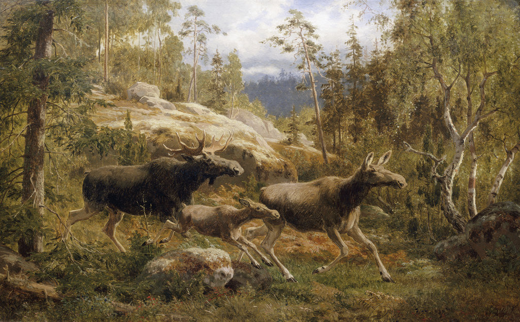 Detail of A Family of Moose by Carl Henrik Bogh