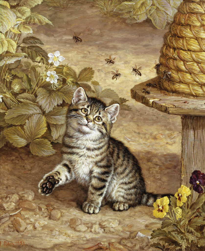 Detail of A Curious Kitten by Frank Paton