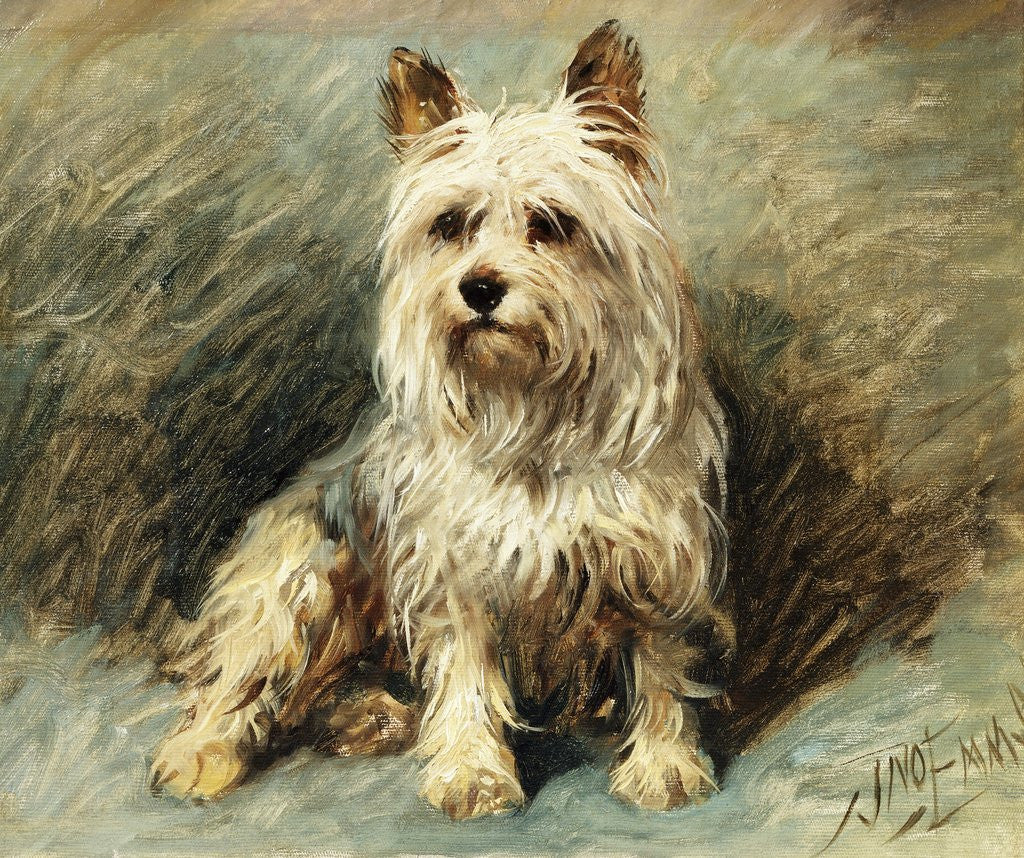 Detail of Yorkie by John Emms