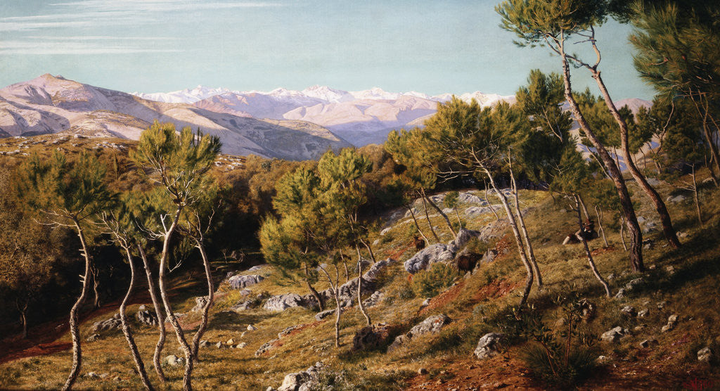 Detail of Maritime Alps and Valley of the Paglioni, near Nice, France by John Mulcaster Carrick