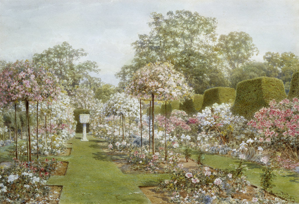 Detail of The Rose Garden, Clandon Park, Surrey, England by Thomas H. Hunn