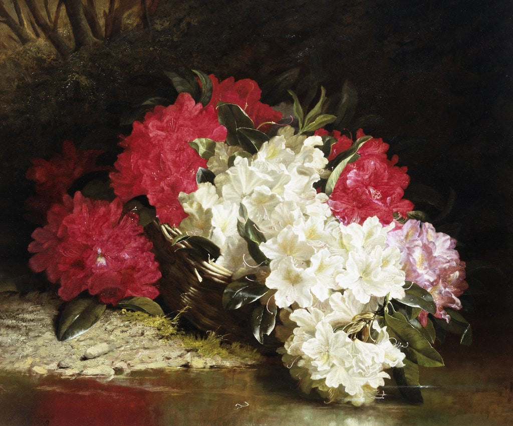 Detail of Azaleas by John Fitz Marshall