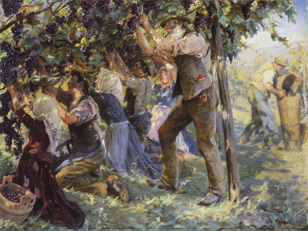 Detail of Vintage in the South Tyrol, Austria by Peder Severin Kroyer