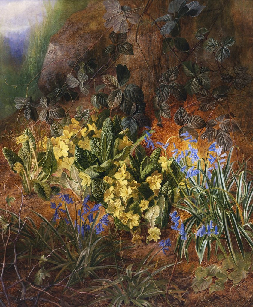 Detail of Spring Flowers on a Mossy Bank by Charles Archer