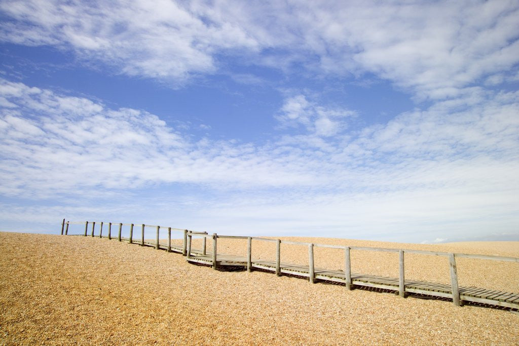 Detail of Boardwalk at Chesil Beach in Dorset by Anonymous