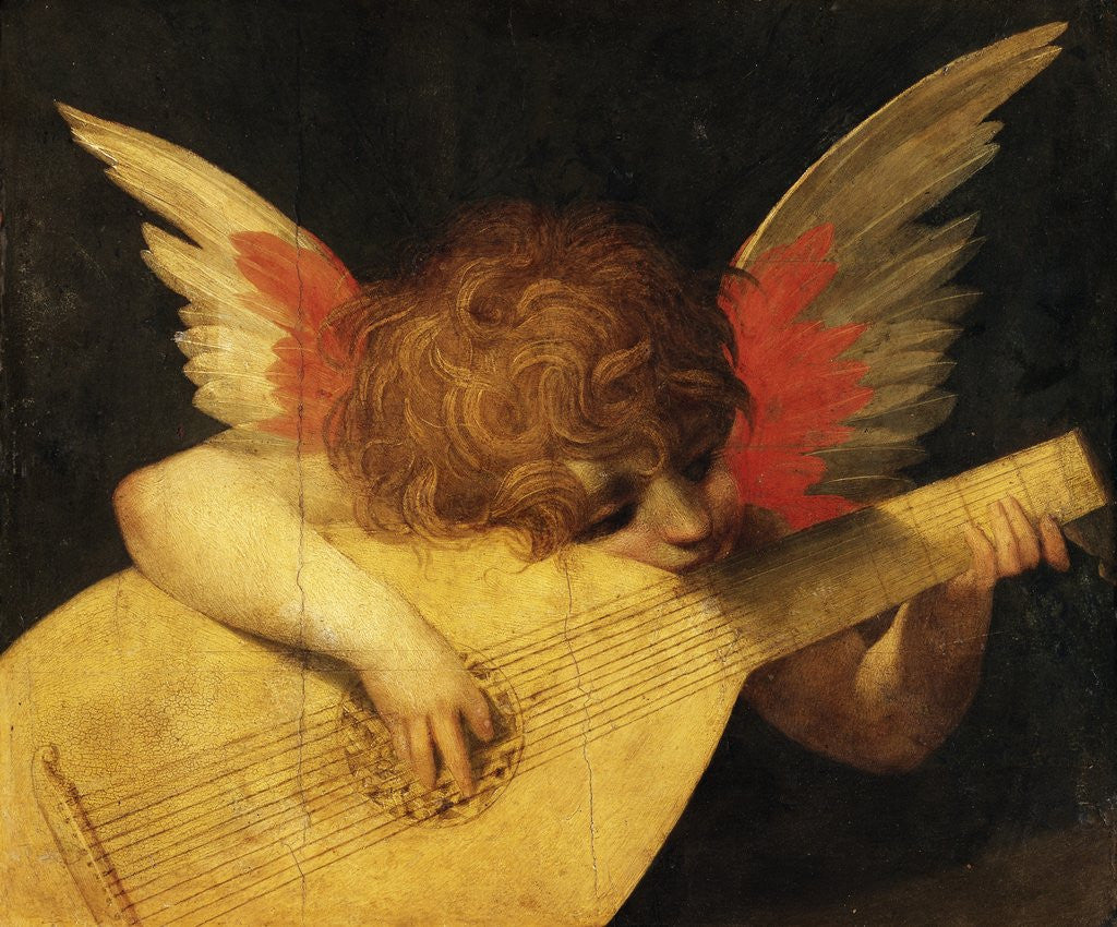 Detail of Musical Angel by Rosso Fiorentino