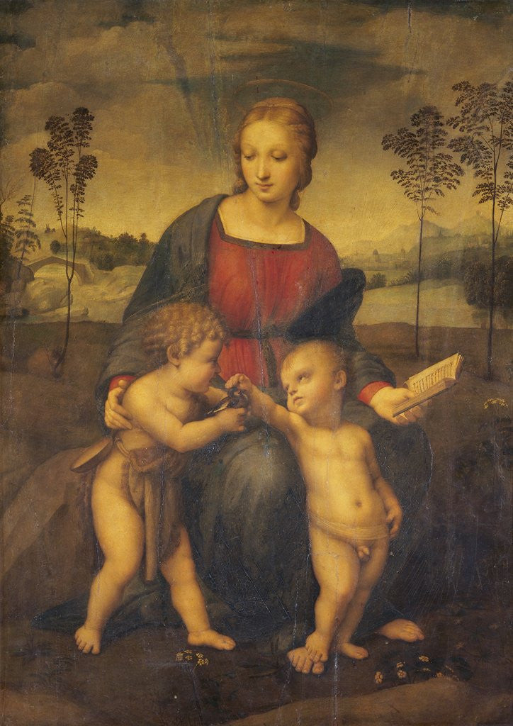Detail of Madonna of the Goldfinch by Raphael