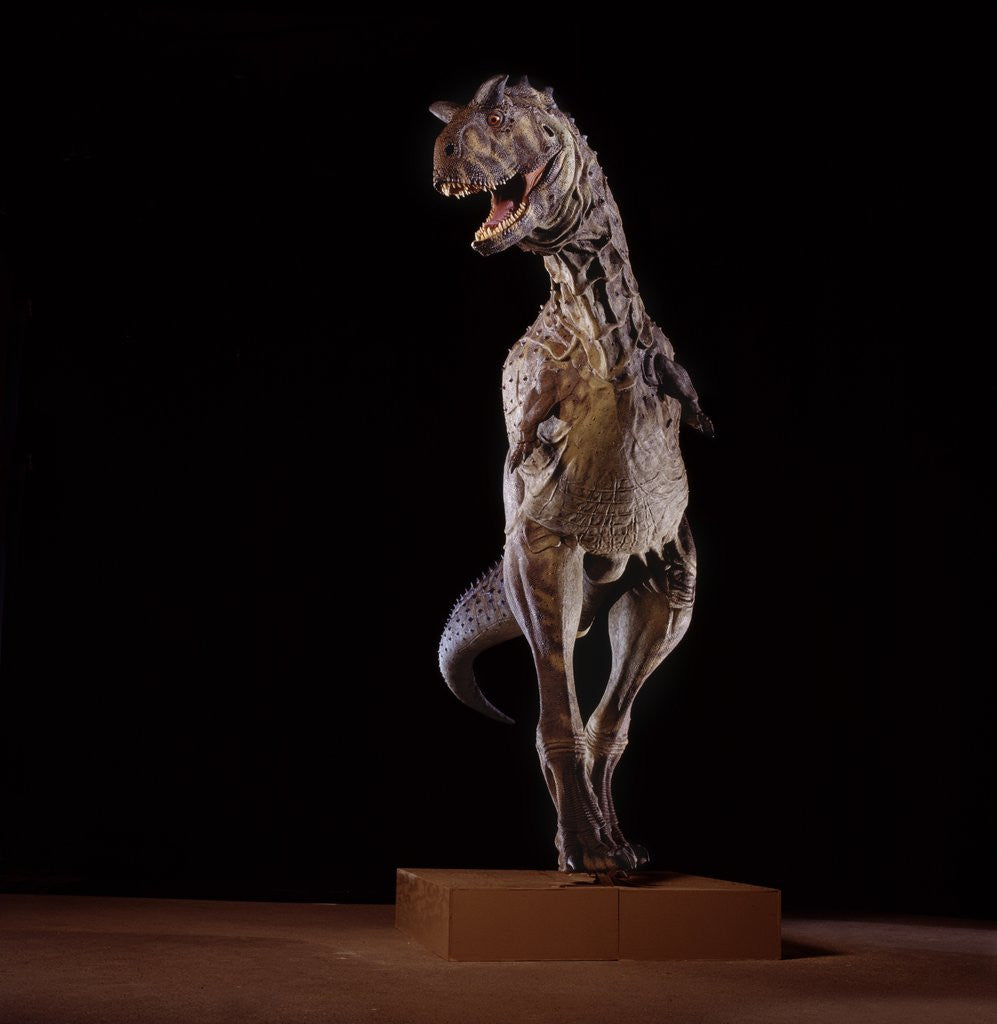 Detail of Sculpture of Carnotaurus by Anonymous