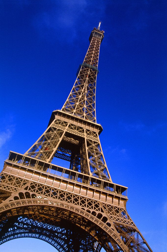 Detail of Eiffel Tower in Paris by Anonymous