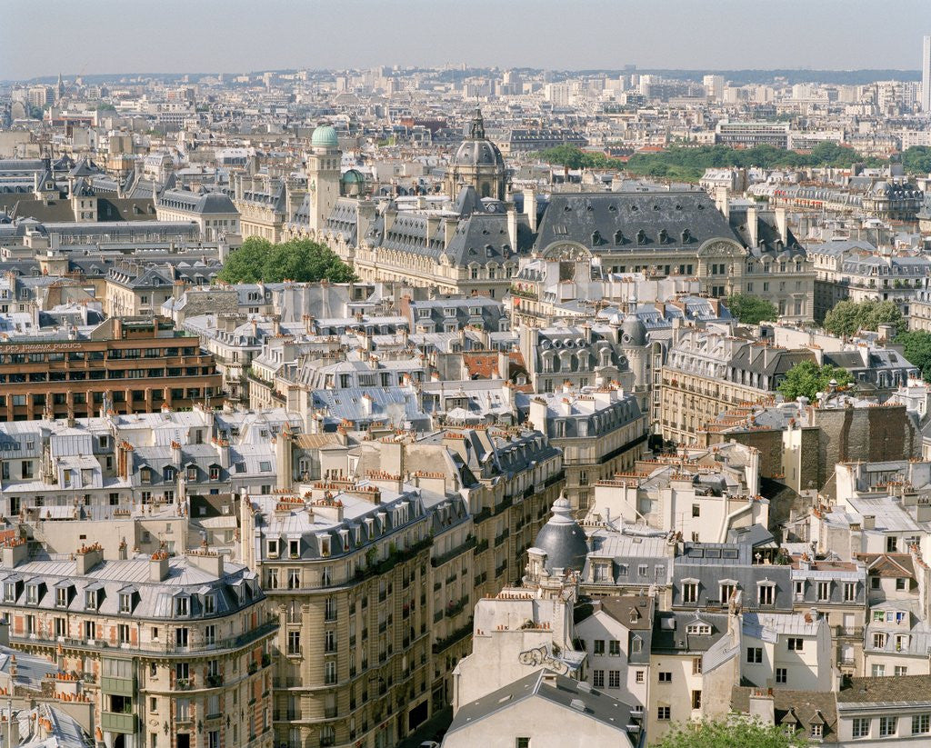 Detail of Paris as Seen from Notre Dame by Anonymous