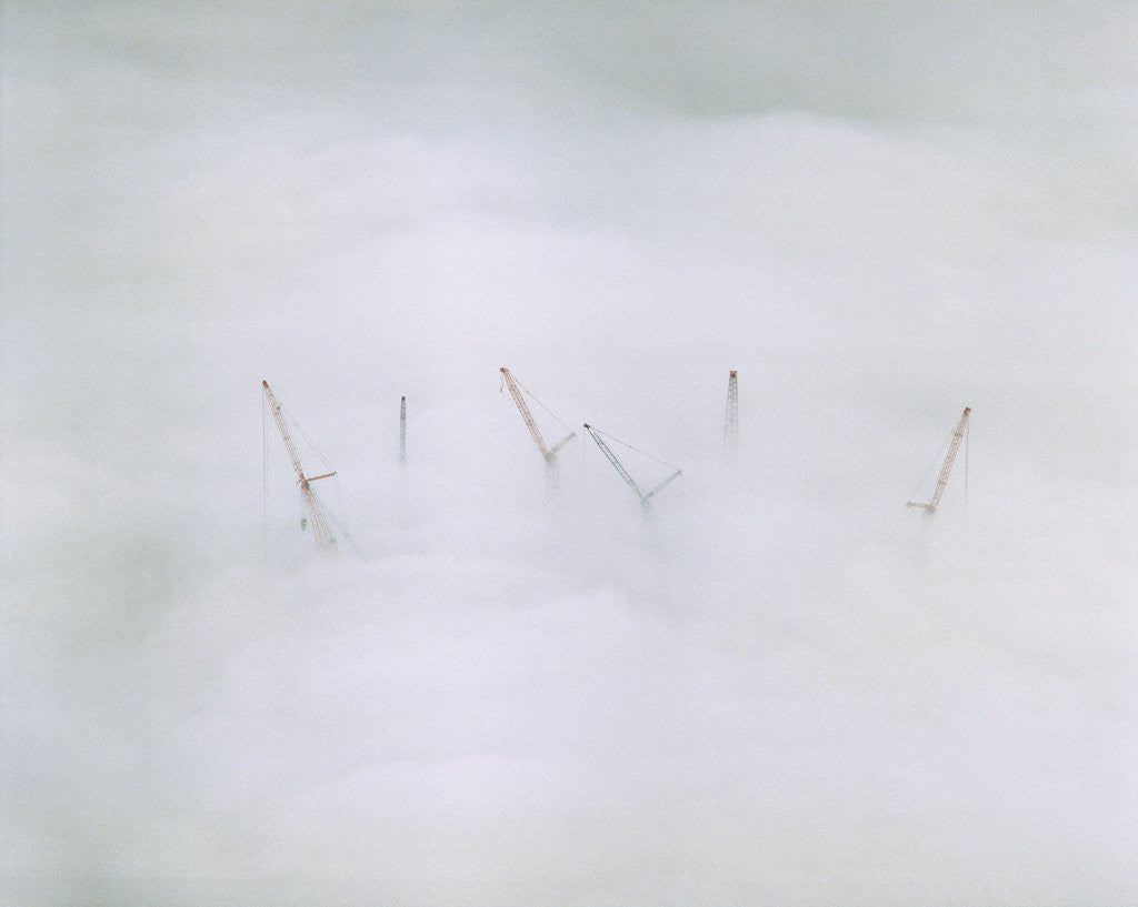 Detail of Cranes in Fog by Anonymous