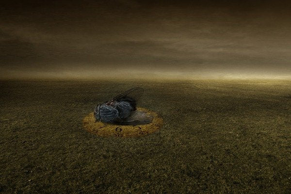 Detail of End of a goal, 2013 by Johan Lilja