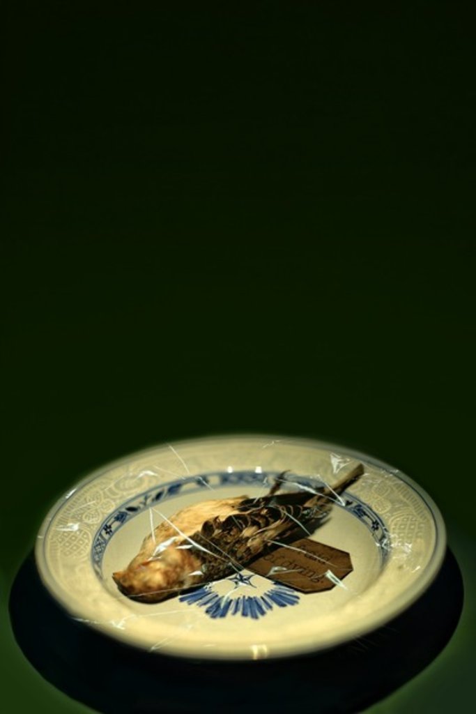 Detail of Bird plate, 2015 by Johan Lilja