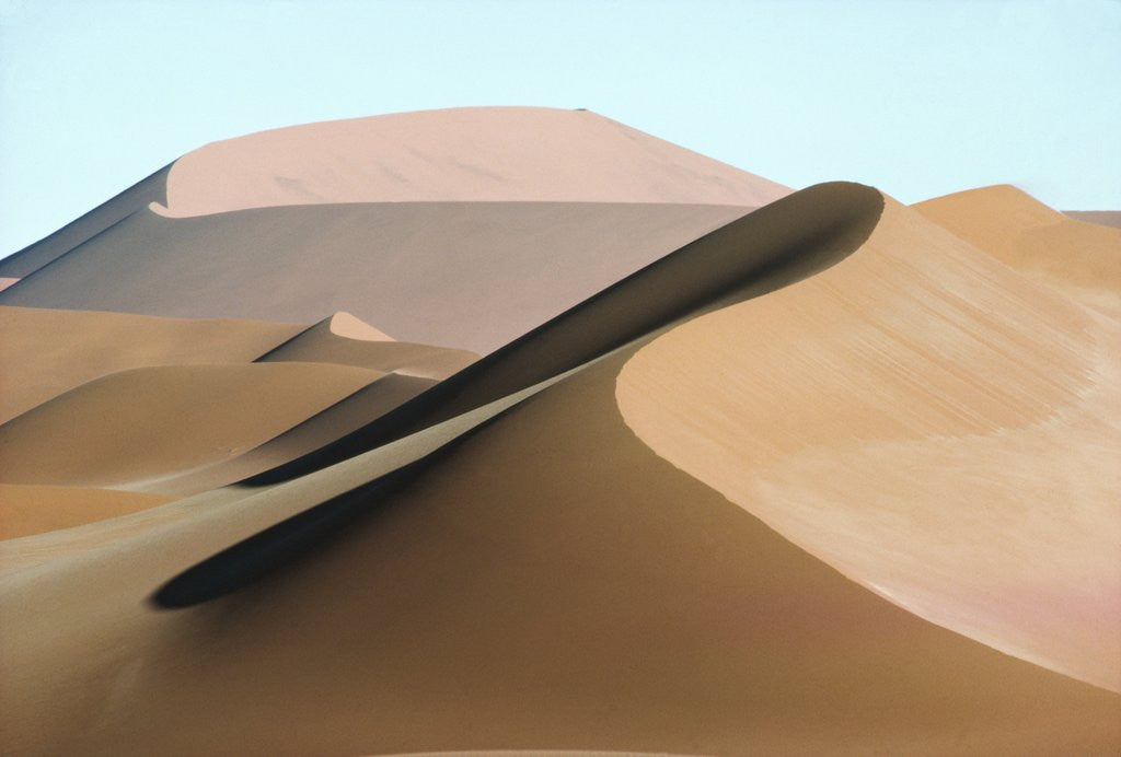 Detail of Dune in the Namib Desert by Anonymous