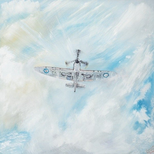 Spitfire. 'Ace Of Spades' by Vincent Alexander Booth