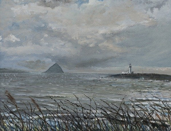 Detail of Ailsa Craig from Arran, 2007 by Vincent Alexander Booth