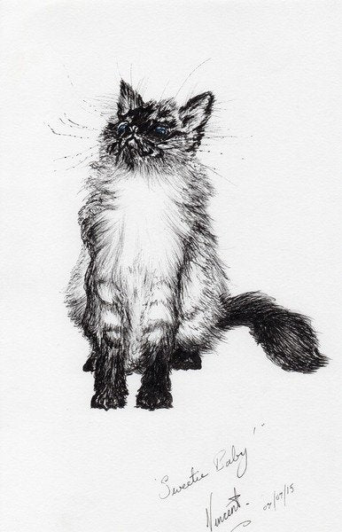 Detail of Sweetie baby, 2015 by Vincent Alexander Booth