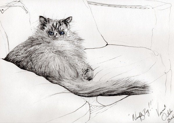 Detail of Naughty boy, 2006 by Vincent Alexander Booth